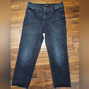 Banana Republic Dark Blue Ankle Jeans